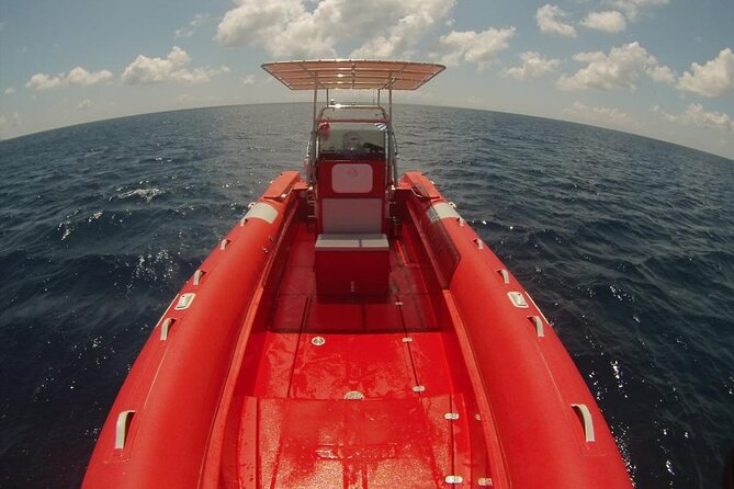 2-Hour Mykonos Private Sea Safari and Snorkeling on a Powerboat - How to think about what’s included (and what isn’t)