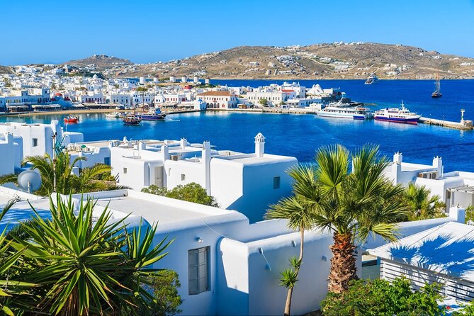 Best Shore Excursion Discovering Mykonos from Cruise Port - Getting to the meeting point: pickup outside the terminal