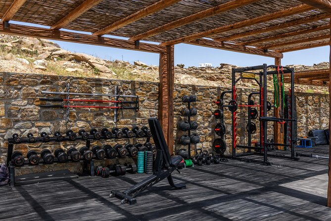 Exclusive Wellness Day Experience in Mykonos - Your Workout Zone: Yoga or Fitness With Elite Coaching