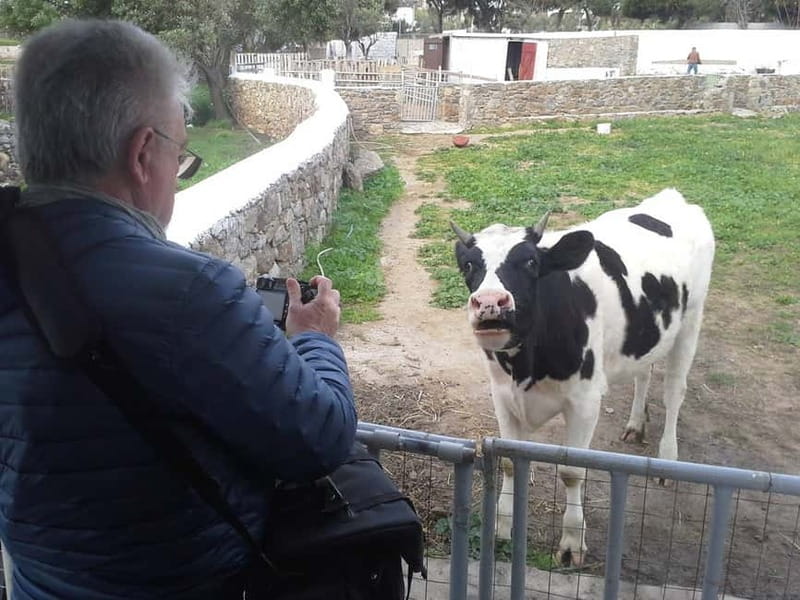 From Mykonos: Ano Mera Farm Tour - What You Can Do in the Garden and Vineyard Areas