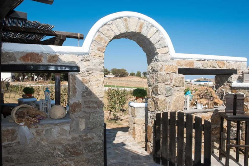 From Mykonos: Ano Mera Farm Tour - Animals Up Close: How Much Interaction You Should Expect