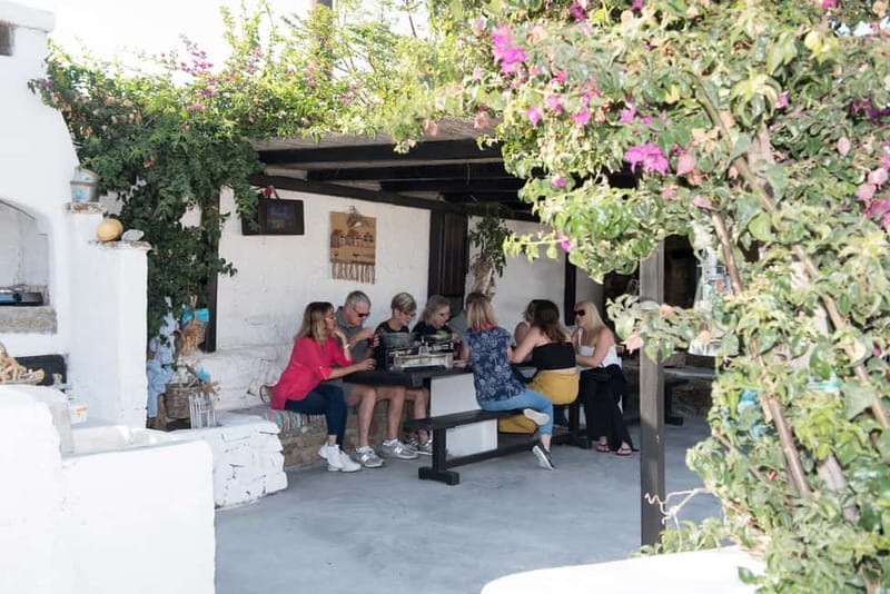 From Mykonos: Ano Mera Farm Tour - The Group Experience and the Short 2.5-Hour Format