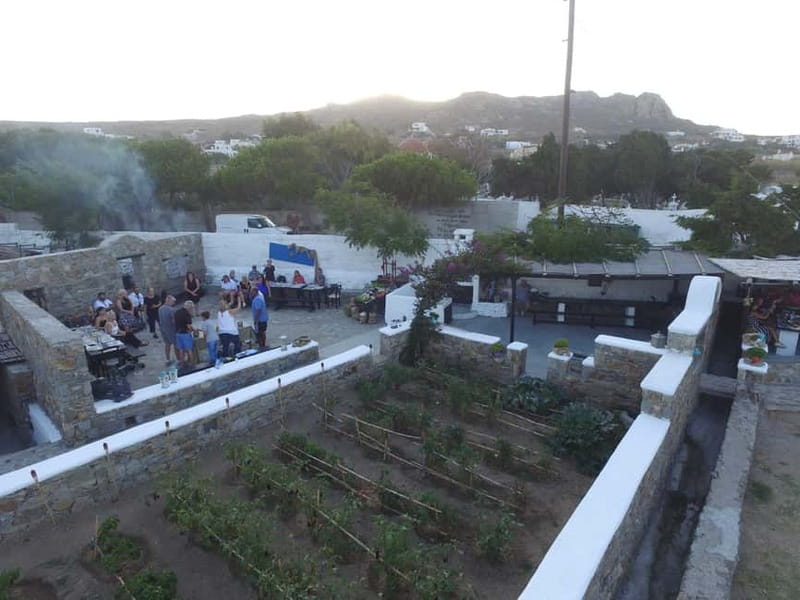 From Mykonos: Ano Mera Farm Tour - Practical Tips Before You Go (So You Enjoy It More)