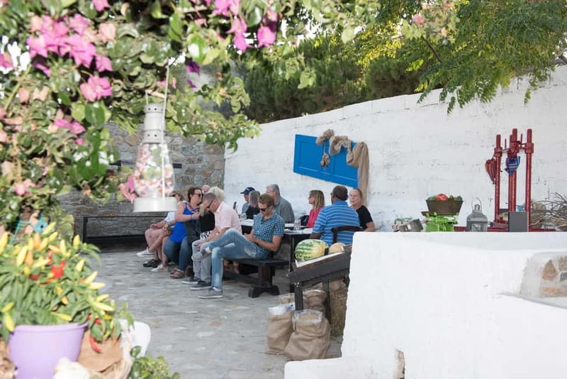 From Mykonos: Ano Mera Farm Tour - Should You Book the Ano Mera Farm Tour?