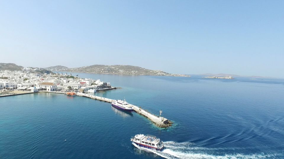 From Mykonos Cruise Port: Afternoon Delos Guided Tour - Museum visit vs. free time: how to avoid feeling rushed