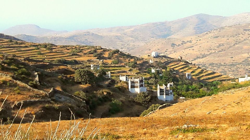 From Mykonos: Full-Day Trip to Tinos Island - Price and What You’re Actually Getting for $112