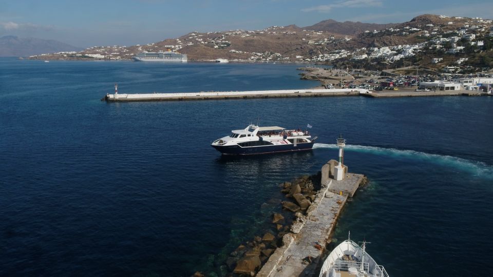 From Mykonos: Paradise Beach Boat Trip - Key highlights worth knowing before you go