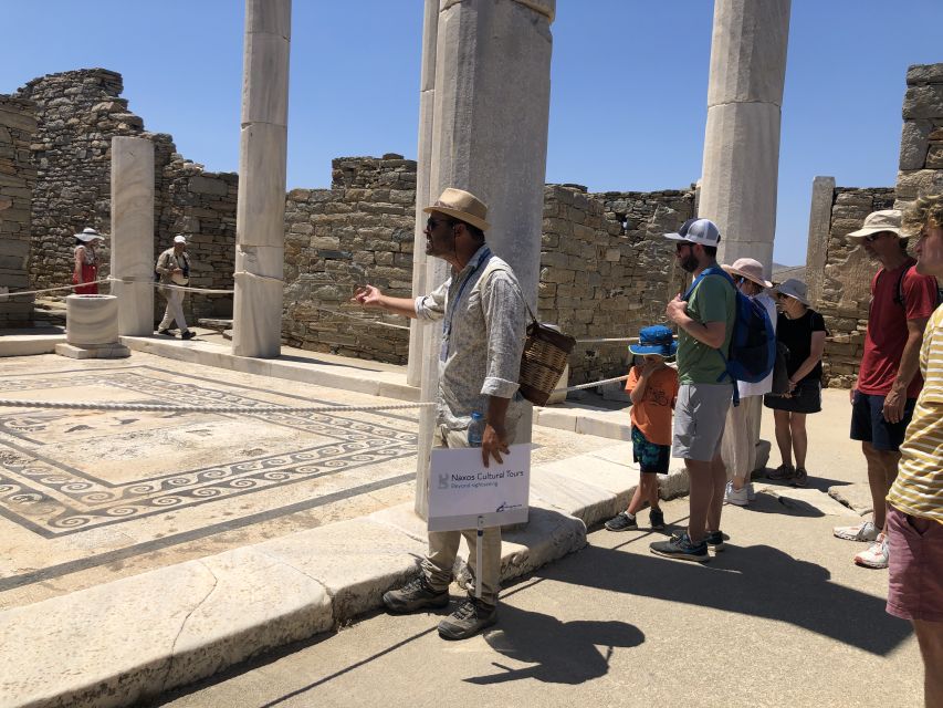 From Naxos: Delos and Mykonos Day Trip with Licensed Guide - Who should book this Delos and Mykonos trip