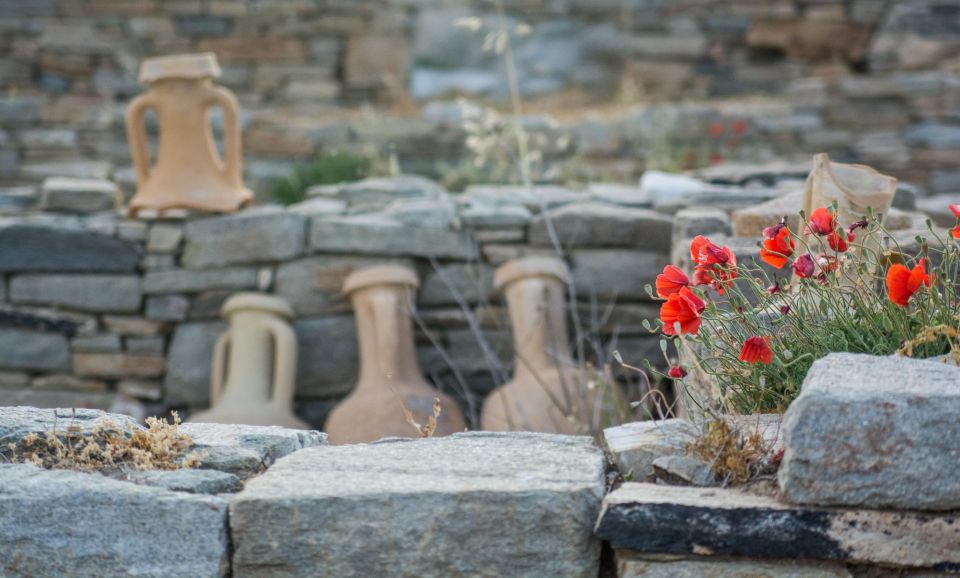From Naxos: Delos and Mykonos Day Trip with Licensed Guide - Should you book this day trip?