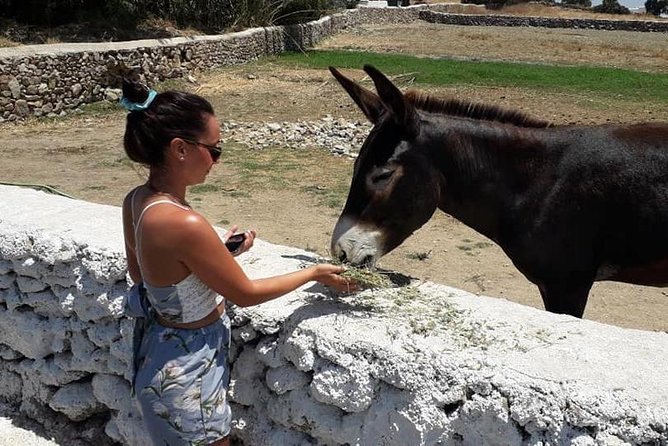 Grand Tour of Mykonos - Why a One-Day Grand Tour Makes Sense in Mykonos