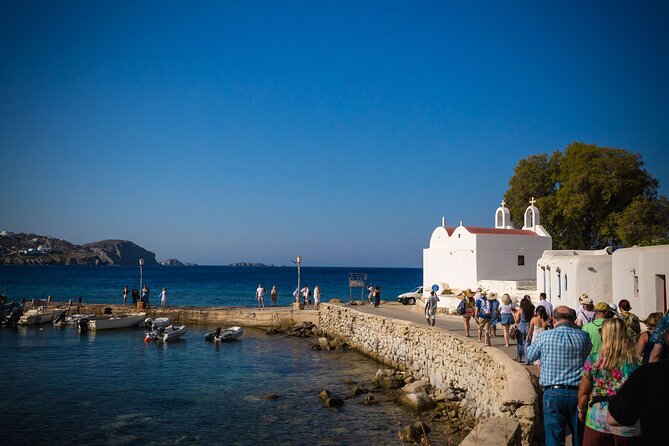 Grand Tour of Mykonos - Mykonian Farm lunch: the part most likely to stick with you