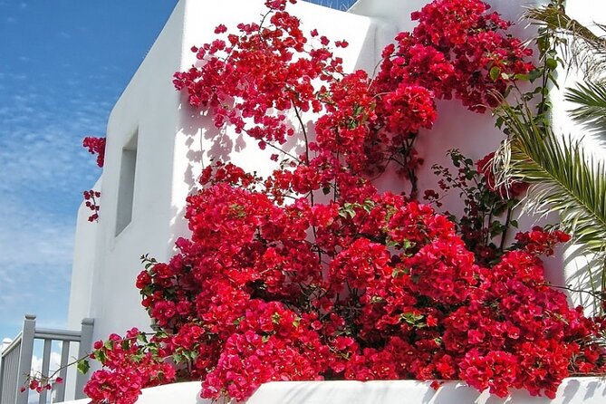 Guided Walking Tour Mykonos, Little Venice, Windmills, Beaches - Price and value: what $555.96 buys you here