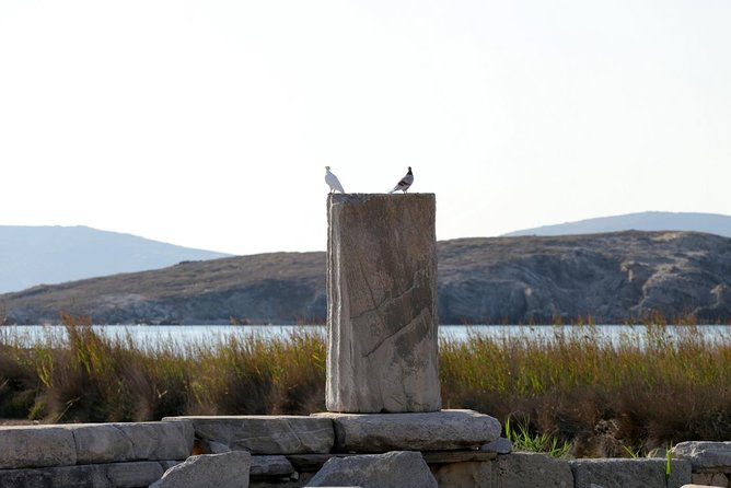 Half-Day Delos Tour from Mykonos - The Archaeological Museum of Delos: small but worth choosing wisely
