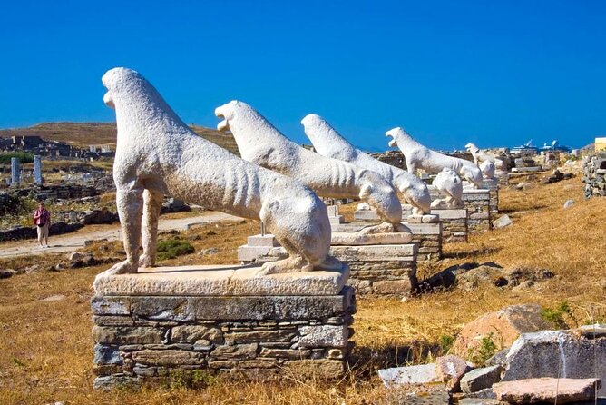Half Day Delos Tour of Mykonos from the Cruise Ship Port - Key takeaways before you go