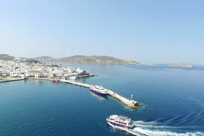 Half Day Delos Tour of Mykonos from the Cruise Ship Port - Walking Delos with a Guide: Dionysus, Mosaics, and the Sacred Street