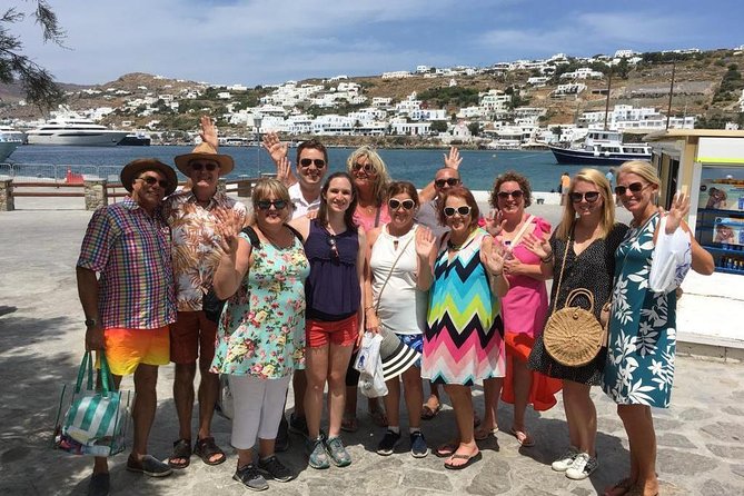 Half-Day Highlights of Mykonos Tour - Should You Book It for Your Mykonos Trip?
