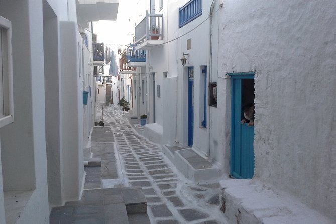 Half-Day Private Guided Tour in Mykonos - Kalo Livadi and the Route to Ano Mera: Coffee, Taverns, and a Local Stop