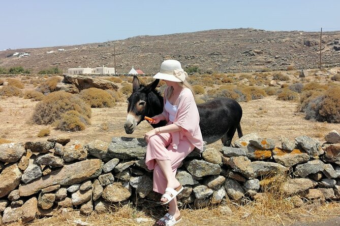 Half-Day Private Guided Tour in Mykonos up to 6 - Ano Mera village: square life, spinach pie, and a different pace