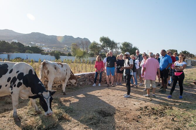 Mykonian Farm Experience - A 5-hour farm evening starting at 4:30 pm