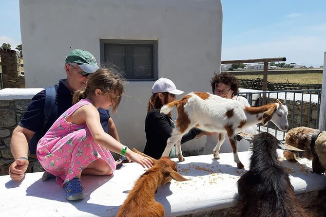 Mykonian Farm Experience - Farm tour (30–45 minutes): what you’ll see and why it matters