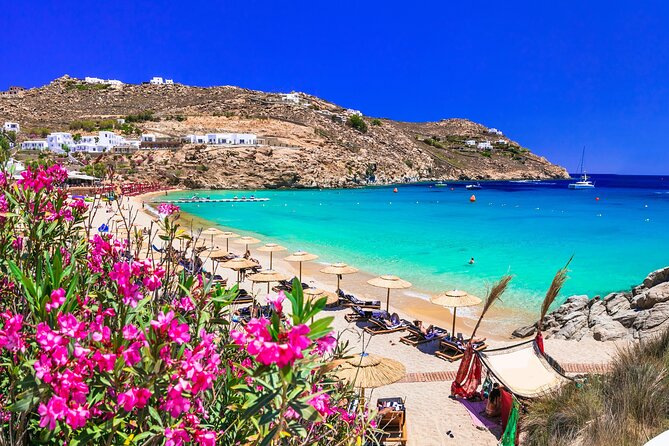 Mykonos Coastal Delights: A Cruise Passenger's Dream Day - Key highlights worth booking for