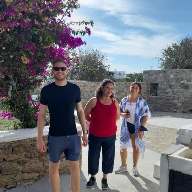 Mykonos: Farm, Ano Mera Village, and Beaches Guided Tour - Price and logistics: how to judge value on Mykonos