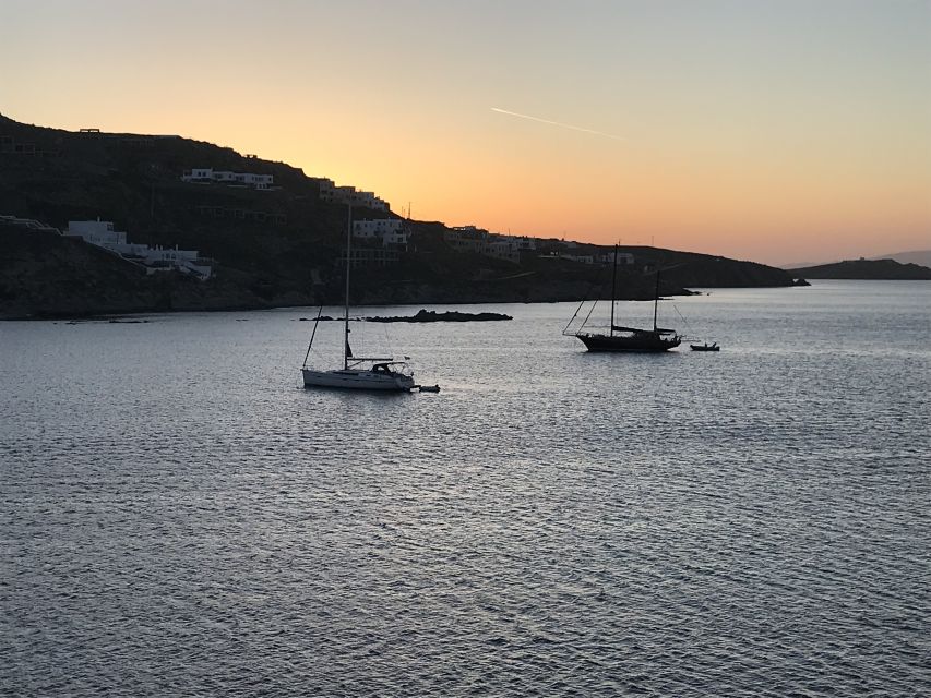 Mykonos: Full-Day Catamaran Cruise with Fresh Lunch - Delos and Rhenia: remote beach time and what to watch for