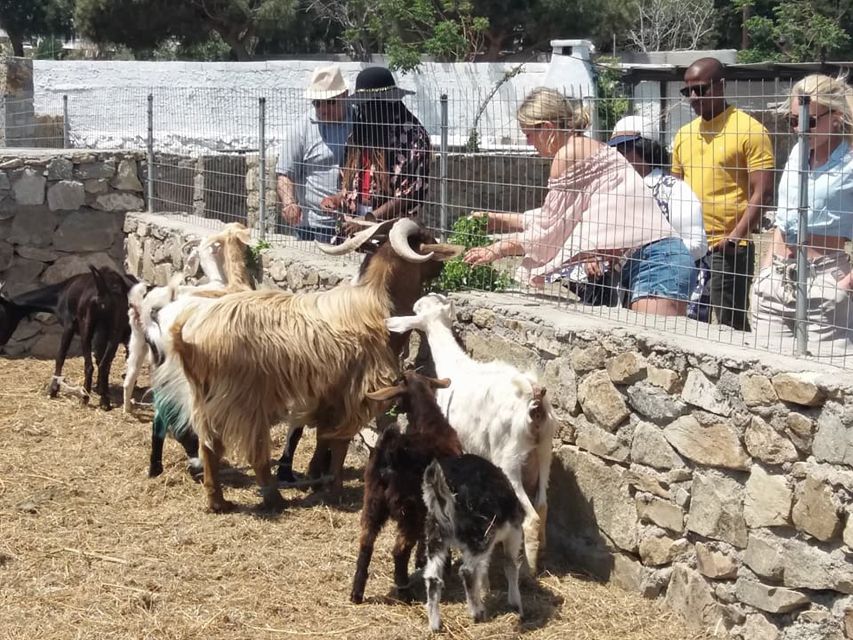 Mykonos: Full-Day Sightseeing Tour with Lunch - Kalo Livadi and Kalafati: Photo Stops Instead of Swim Time