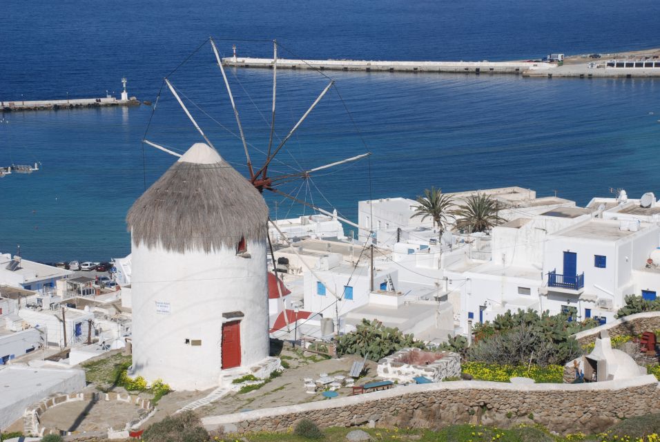 Mykonos: Half-Day City Walking Tour and Island Bus Tour - Key highlights at a glance