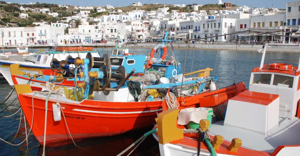 Mykonos: Half-Day City Walking Tour and Island Bus Tour - Finding Fabrika Square without stress (and what to bring)