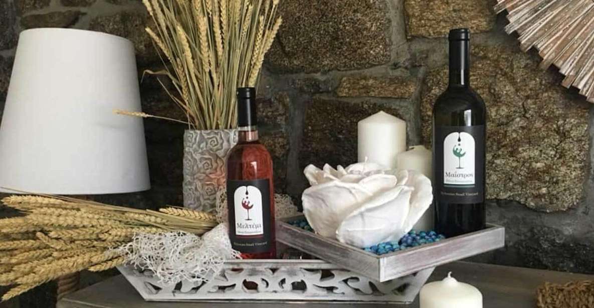Mykonos: Half-Day Wine Tasting and Snack at a Local House - A Mykonos Wine Lesson in a Traditional Mykonian Home