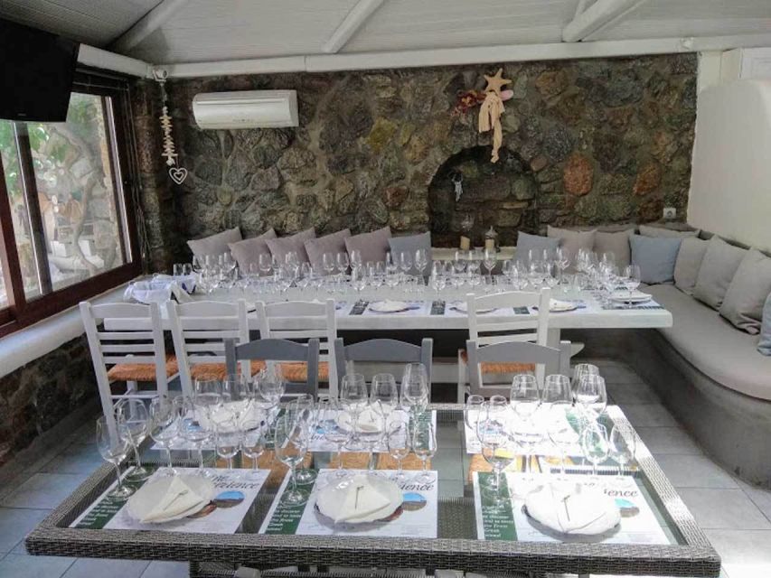 Mykonos: Half-Day Wine Tasting and Snack at a Local House - Getting There: Pickup All Over Mykonos (and When Extra Fees Apply)
