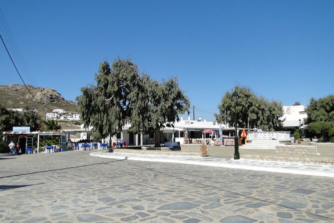 Mykonos Highlights by a local - A private, air-conditioned Mykonos plan that keeps you moving