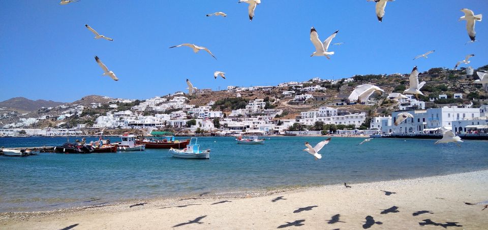 Mykonos: Highlights Tour with Panagia Tourliani Monastery - Agios Ioannis and the island side you don’t see from the main strip