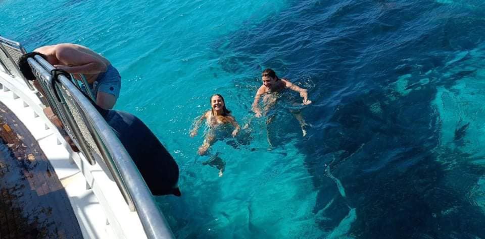 Mykonos: Little Venice and Agios Stefanos Cruise with Lunch - Key Points You’ll Care About