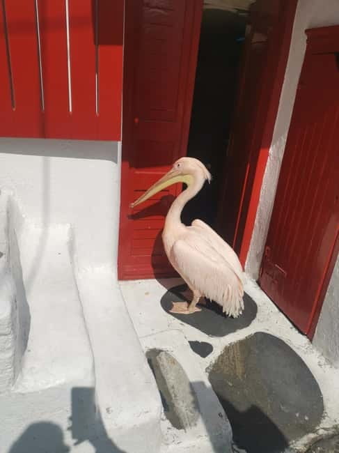 Mykonos: Private Tour with Range Rover - Windmills and lighthouse views: the quick wow factor