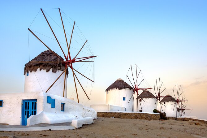 Mykonos Shore Excursion: Elia Beach & Town Exploration - Key Things I’d Focus On Before You Go