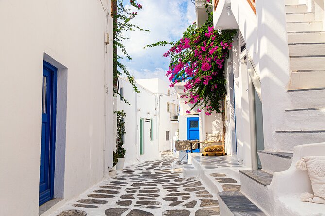 Mykonos Shore Excursion: Elia Beach & Town Exploration - Who This Excursion Fits Best (and Who Might Want Something Else)