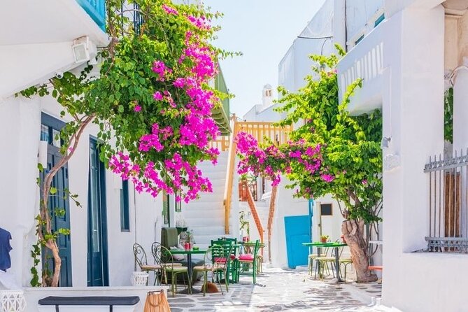 Mykonos Tour from Cruise Port including Little Venice & Windmills - Guide Style, Communication, and Why It Changes the Day