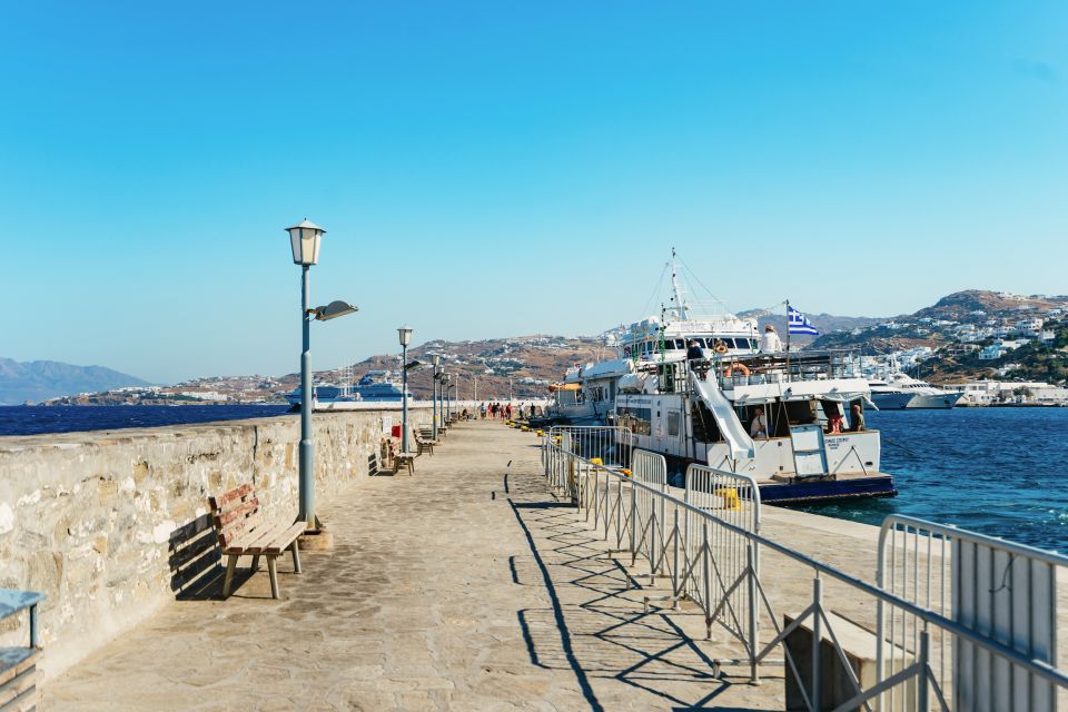 Mykonos Town: Archaeological Site of Delos Guided Day Trip - Price and value: is $93 a fair deal?