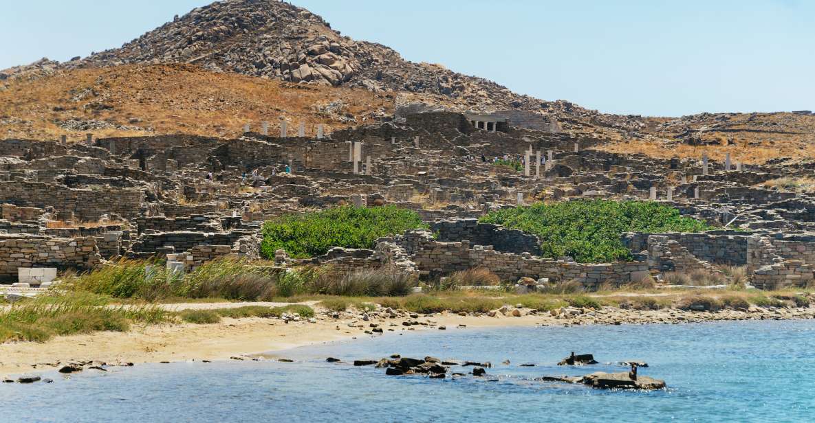 Mykonos Town: Archaeological Site of Delos Guided Day Trip - Dionysus and the art details you’ll actually remember