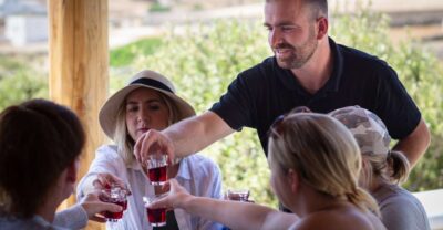 Mykonos: Winery Vineyard Experience with Food & Wine Tasting - The olive grove and vineyard walk with Gerasimos
