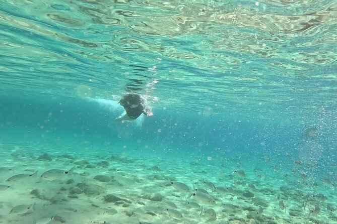 Private 1-Hour Guided Snorkeling Adventure with Go Pro Pictures - GoPro underwater photos included: how to get the best results