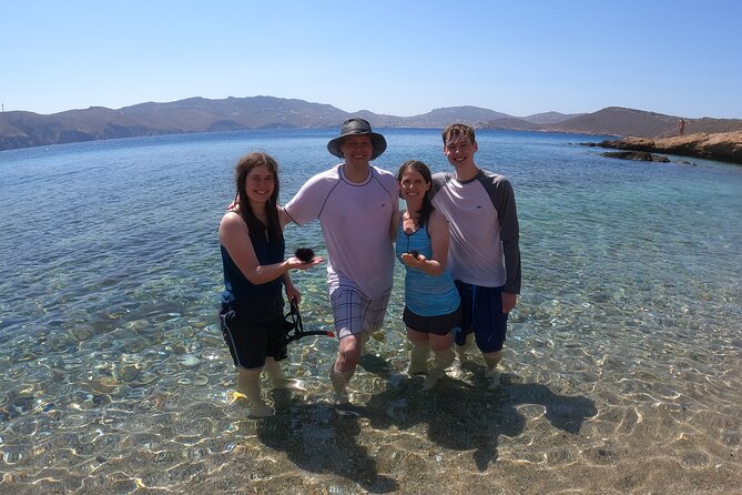 Private 1-Hour Guided Snorkeling Adventure with Go Pro Pictures - Practical tips to make your snorkeling hour go smoothly