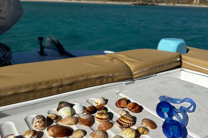 Private Cruise with Handmade Antique Boat around Mykonos-Full Day - Should you book this private cruise?