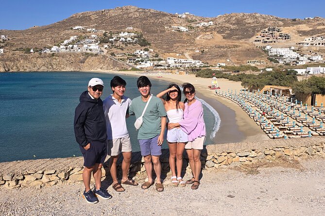 Private Mykonos Island tour by Luxury Minibus up to 11 passengers - Kalo Livadi: facilities when you want comfort, party energy when you want noise