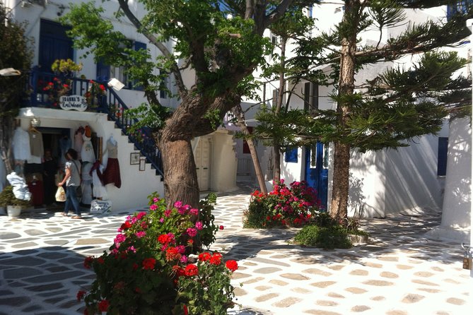 Private Only "The Highlights" Walking tour - Why This Private Highlights Walk Works in Mykonos Town