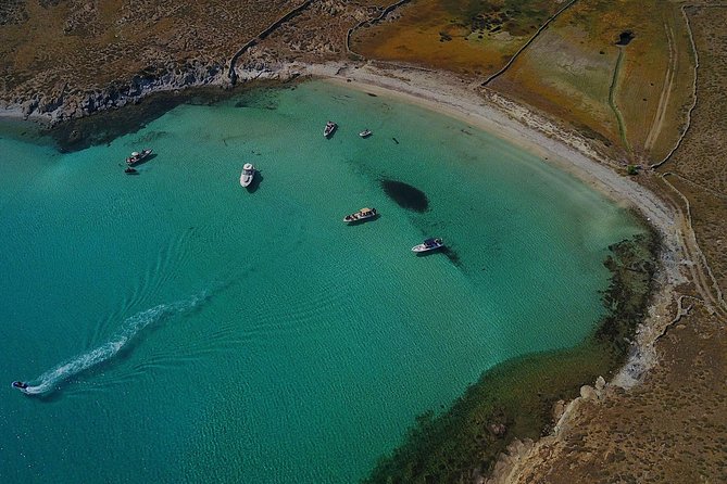 Private Speedboat Cruise from Delos to Rhenia and Mykonos - Who this cruise suits best