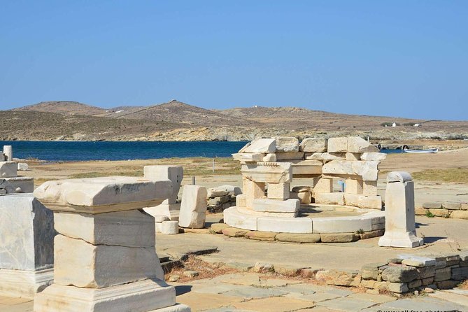 Private Tour: Delos Day Trip from Mykonos - Avenue of the Lions: Guardians of a Dry Sacred Lake