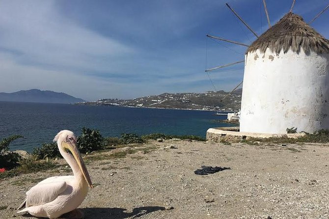 Private Tour: Mykonos Island in Half a Day - Little Venice and the night-spot terraces